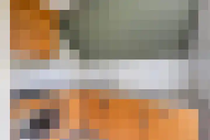 Haersolteweg 17 G 016 Dalfsen thumbnail 11