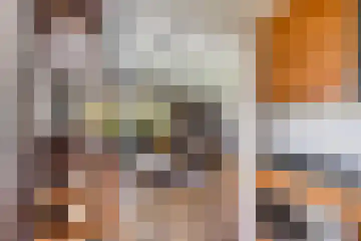 Haersolteweg 17 G 016 Dalfsen thumbnail 12