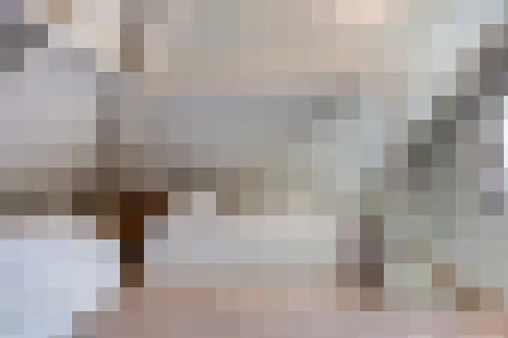 Haersolteweg 17 G 016 Dalfsen thumbnail 15