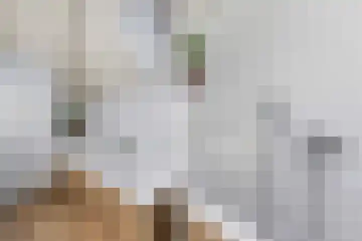 Haersolteweg 17 G 016 Dalfsen thumbnail 17