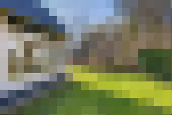 Haersolteweg 17 G 016 Dalfsen thumbnail 20