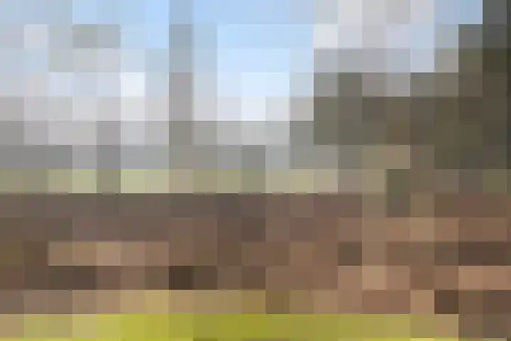 Haersolteweg 17 G 016 Dalfsen thumbnail 22