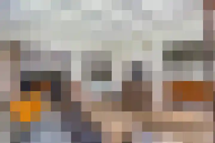 Haersolteweg 17 G 016 Dalfsen thumbnail 6
