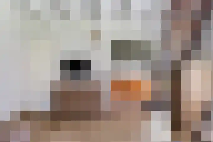 Haersolteweg 17 G 016 Dalfsen thumbnail 7