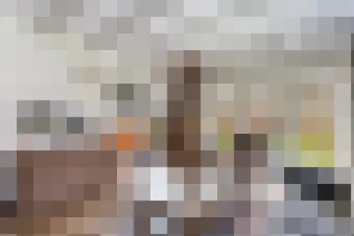 Haersolteweg 17 G 016 Dalfsen thumbnail 8