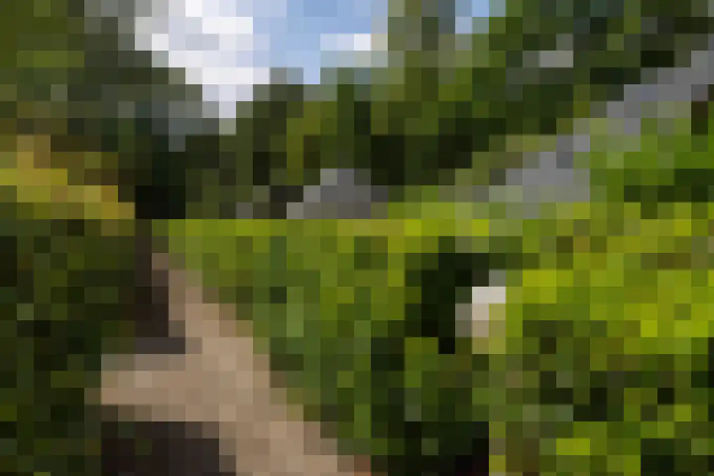 Haersolteweg 17 G 019 Dalfsen thumbnail 16
