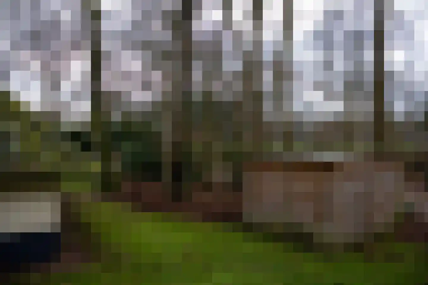 Haersolteweg 17 G 021 Dalfsen thumbnail 14