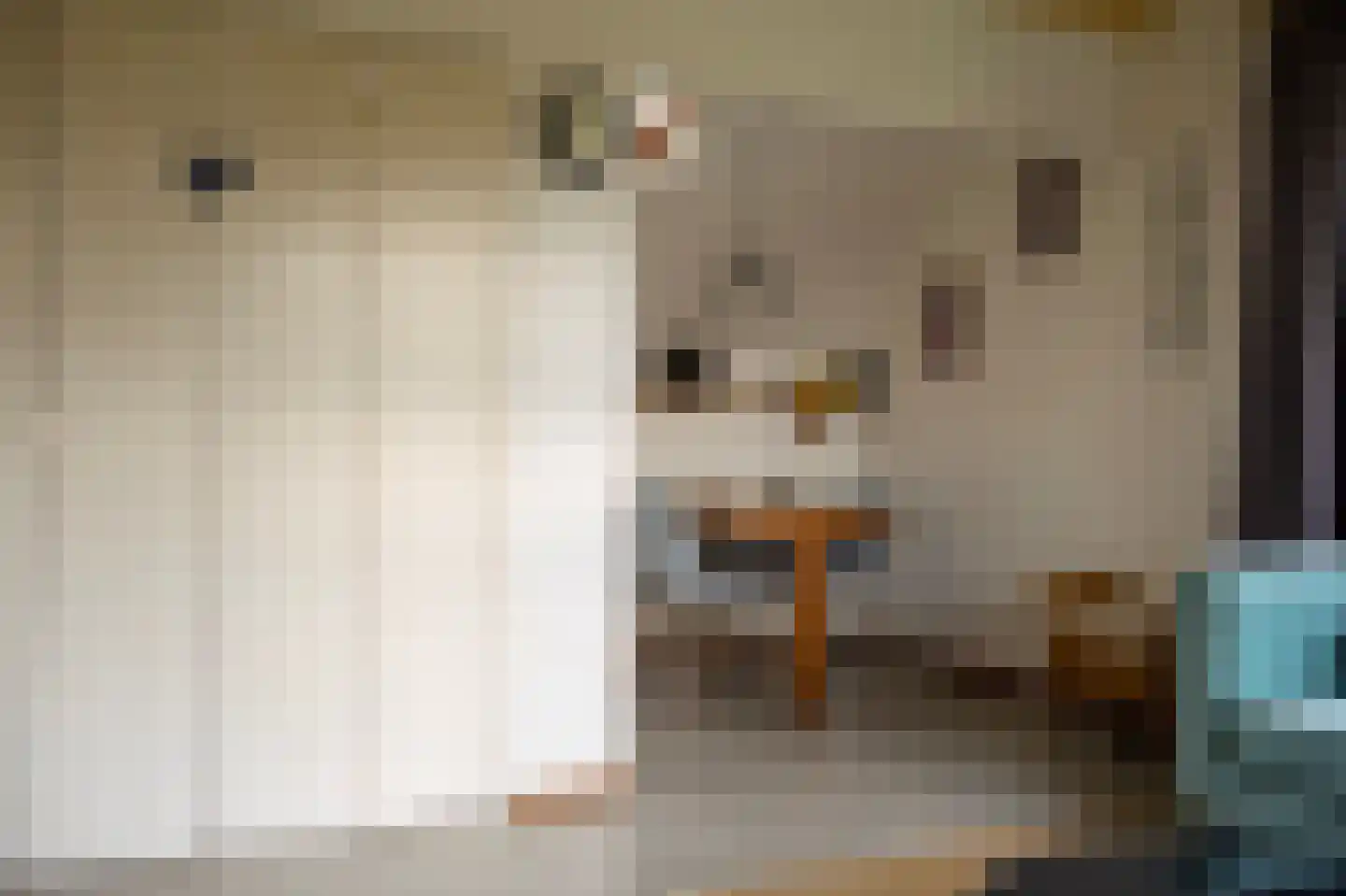 Haersolteweg 17 G 021 Dalfsen thumbnail 7