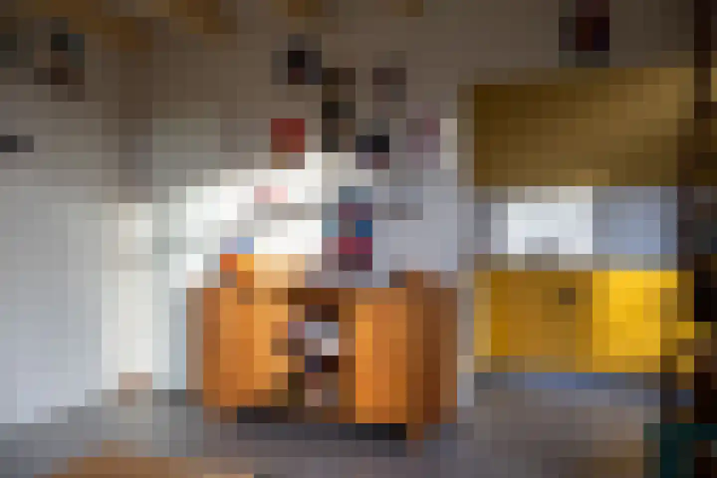 Haersolteweg 17 G 022 Dalfsen thumbnail 9