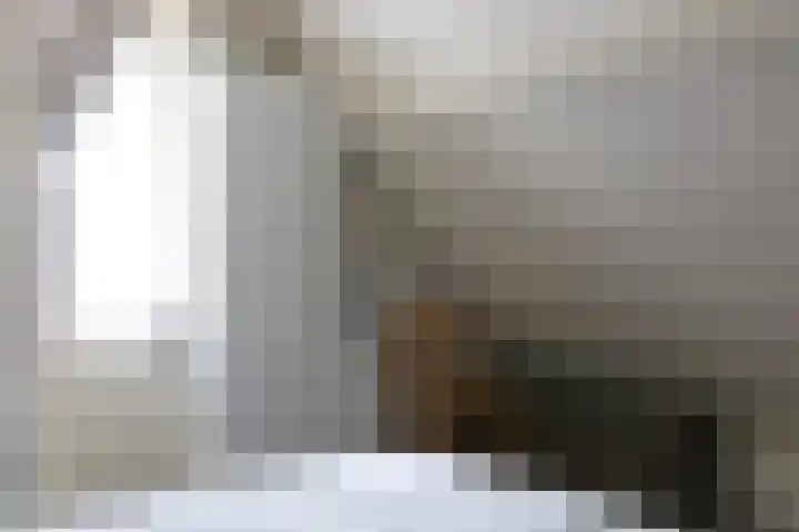 Haersolteweg 17 G 032 Dalfsen thumbnail 13