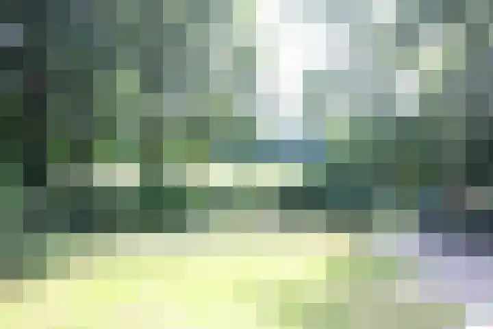 Haersolteweg 17 G 032 Dalfsen thumbnail 14