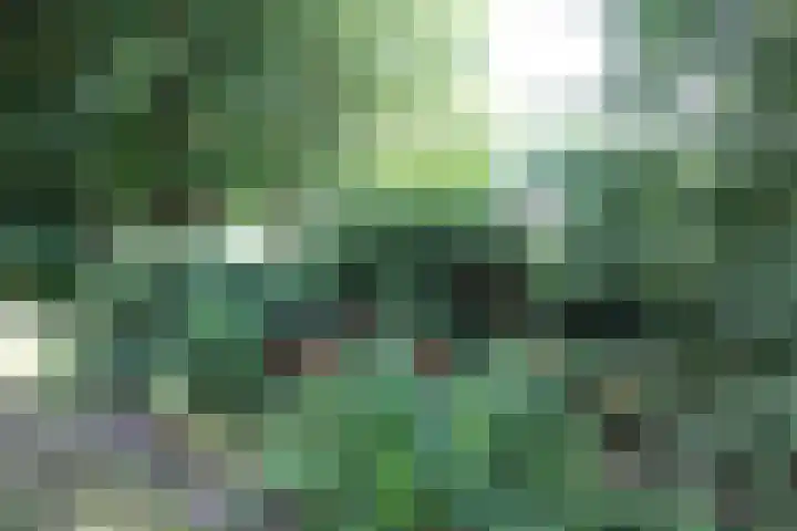 Haersolteweg 17 G 032 Dalfsen thumbnail 16