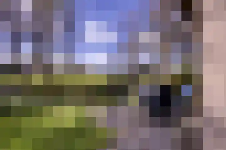 Haersolteweg 17 G 032 Dalfsen thumbnail 19