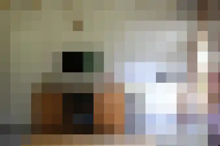 Haersolteweg 17 G 032 Dalfsen thumbnail 5
