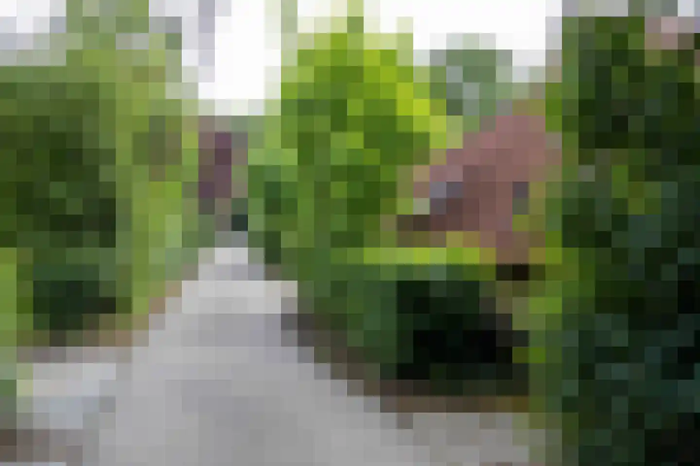 Haersolteweg 17 G 101 Dalfsen thumbnail 15