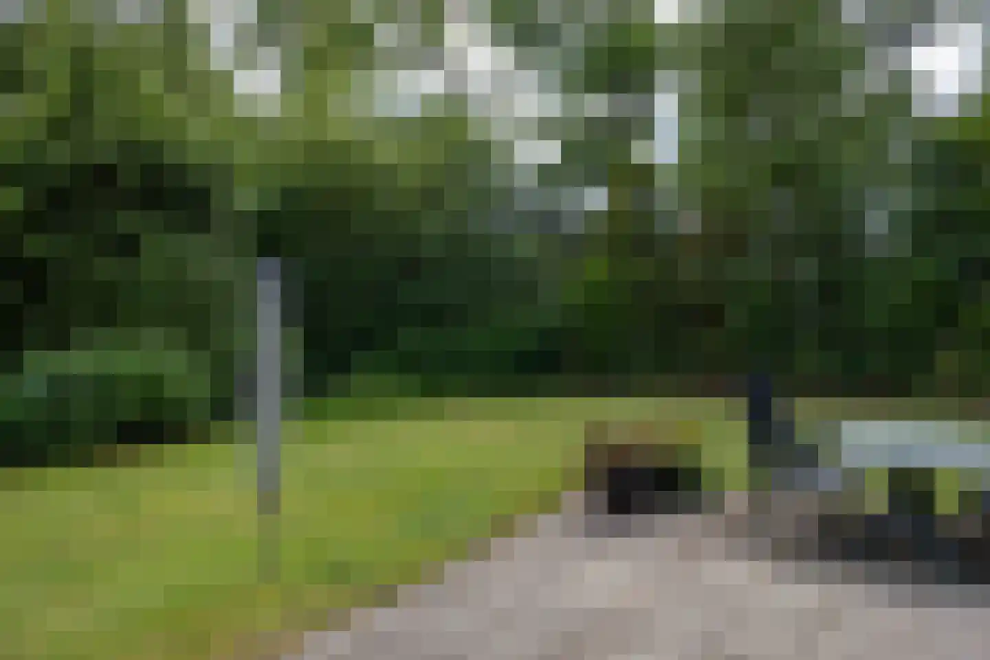 Haersolteweg 17 G 101 Dalfsen thumbnail 16