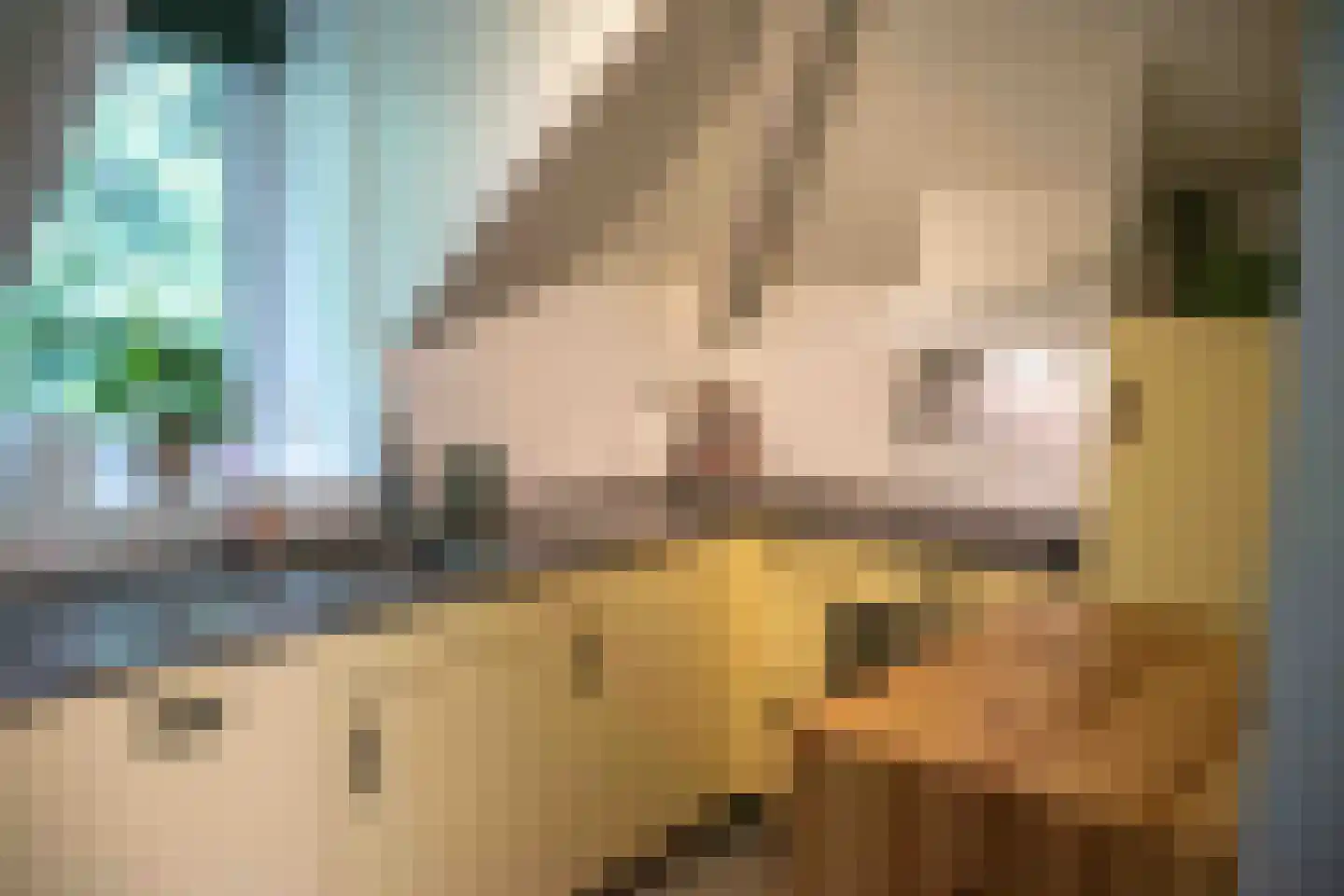 Haersolteweg 17 G 101 Dalfsen thumbnail 6