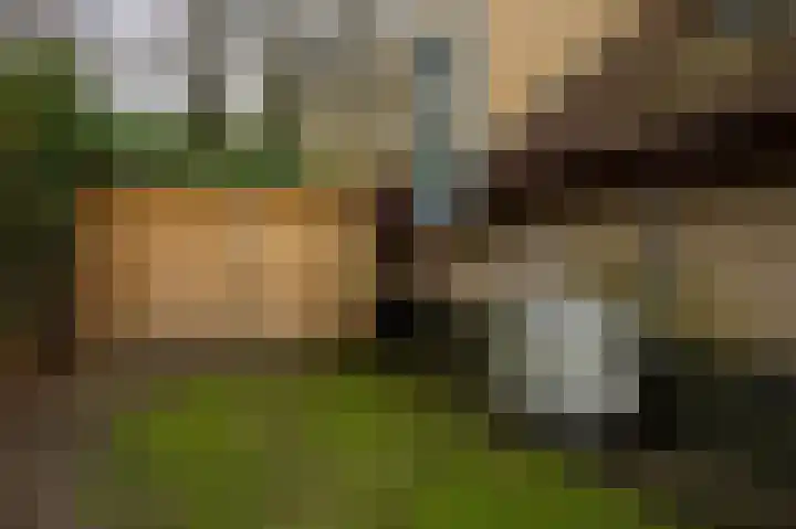 Haersolteweg 17 G 104 Dalfsen thumbnail 20