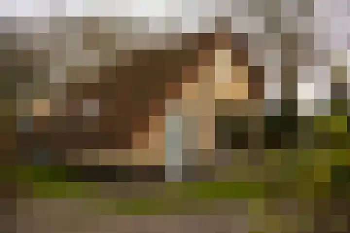 Haersolteweg 17 G 104 Dalfsen thumbnail 22