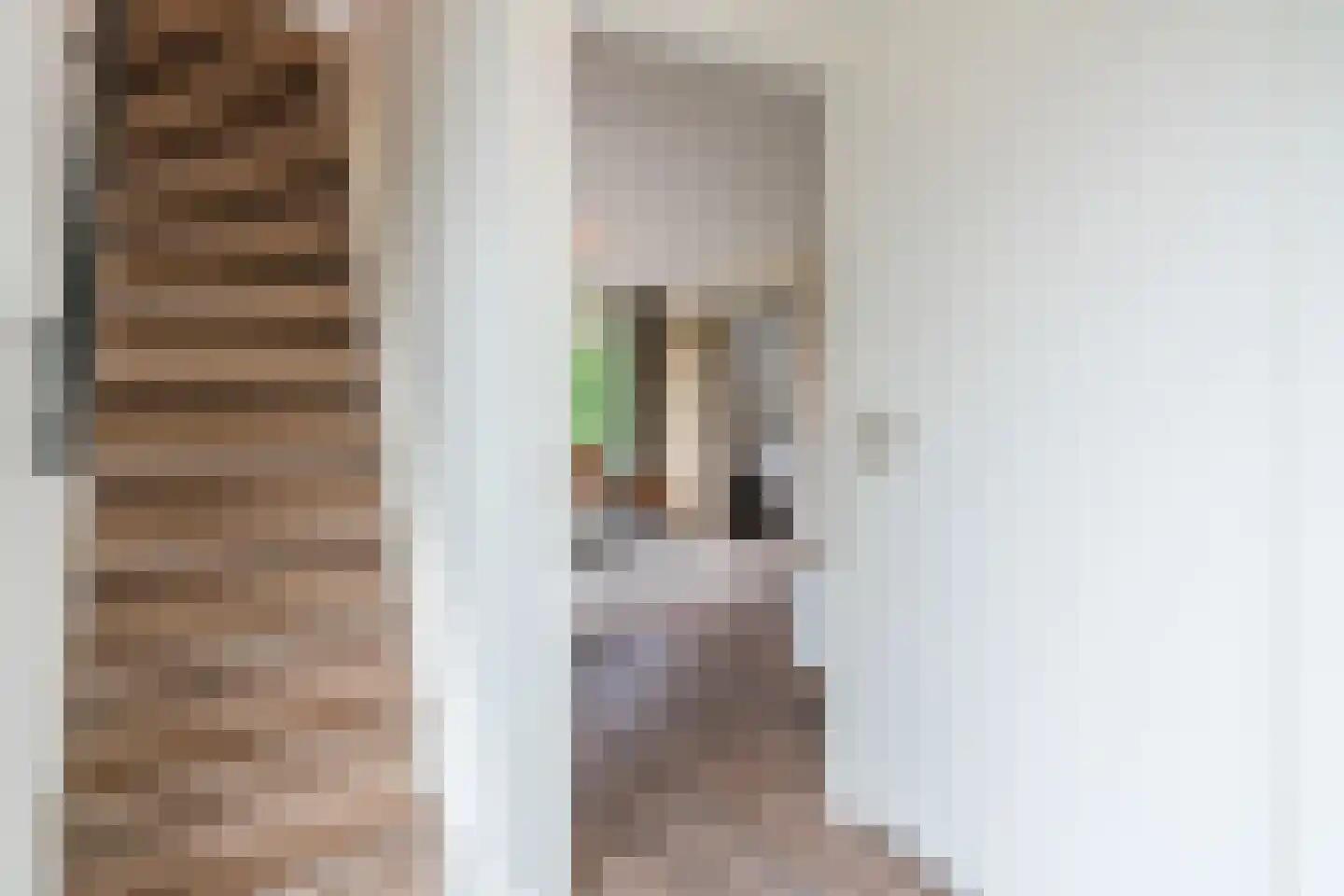 Haersolteweg 17 G 114 Dalfsen thumbnail 14