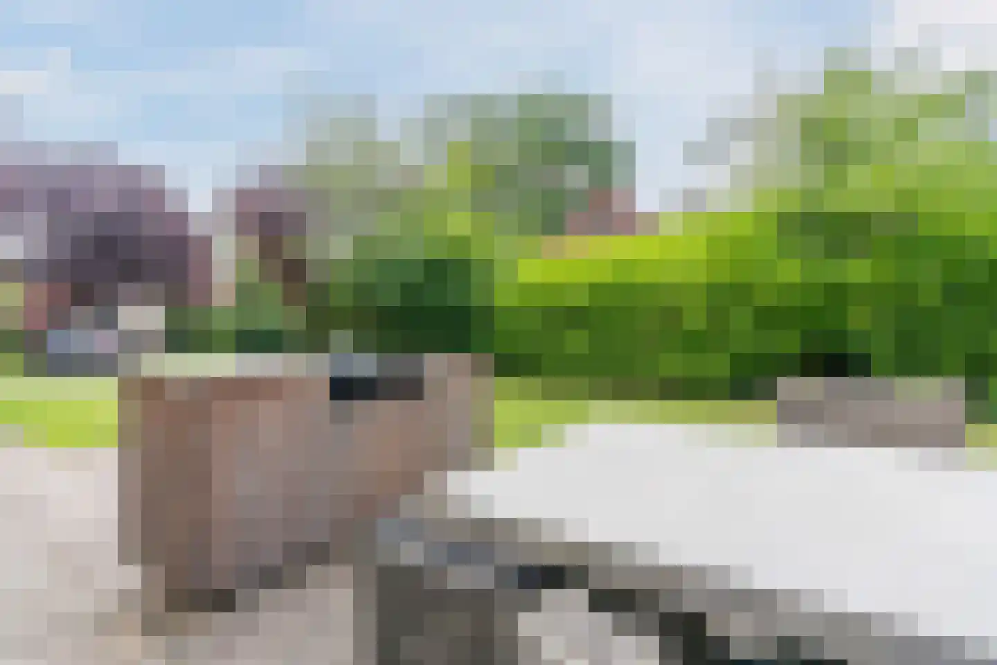Haersolteweg 17 G 114 Dalfsen thumbnail 24
