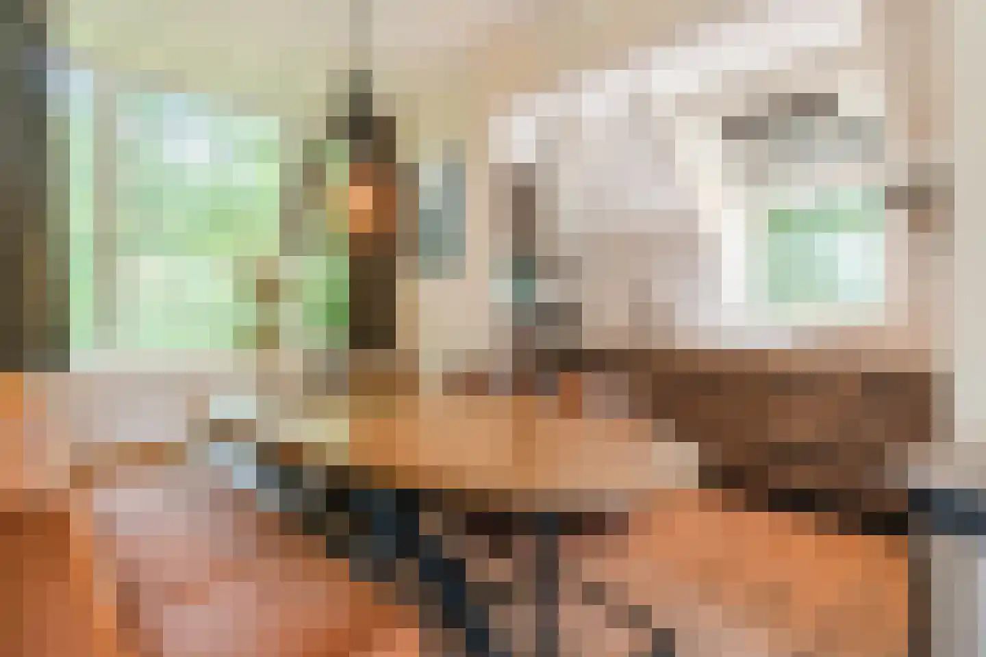 Haersolteweg 17 G 114 Dalfsen thumbnail 6