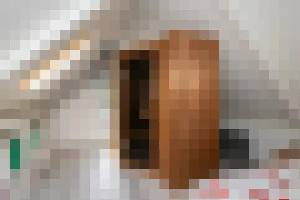 Haersolteweg 17 G 119 Dalfsen thumbnail 21