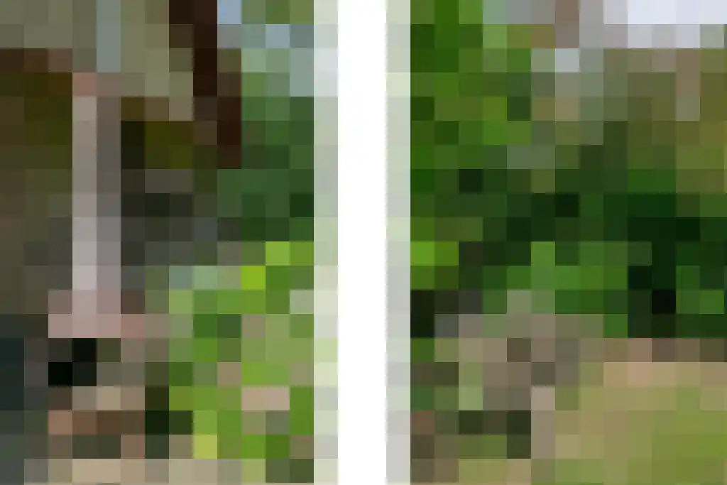 Haersolteweg 17 G 119 Dalfsen thumbnail 27