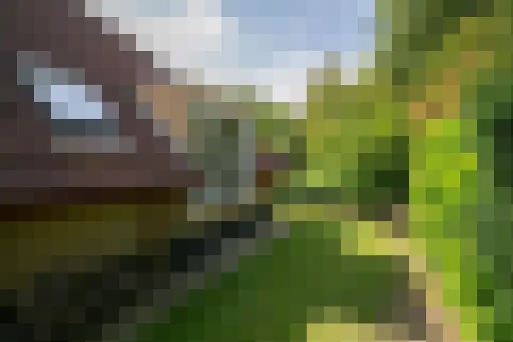 Haersolteweg 17 G 119 Dalfsen thumbnail 29
