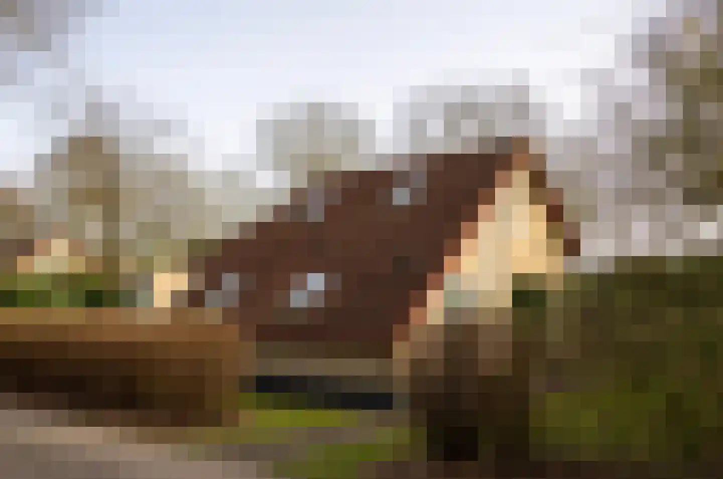 Haersolteweg 17 G 131 Dalfsen foto 2