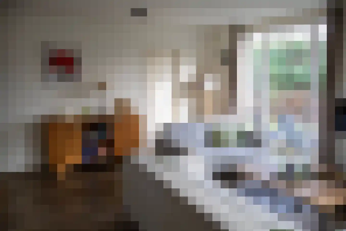 Haersolteweg 17 G 131 Dalfsen thumbnail 5
