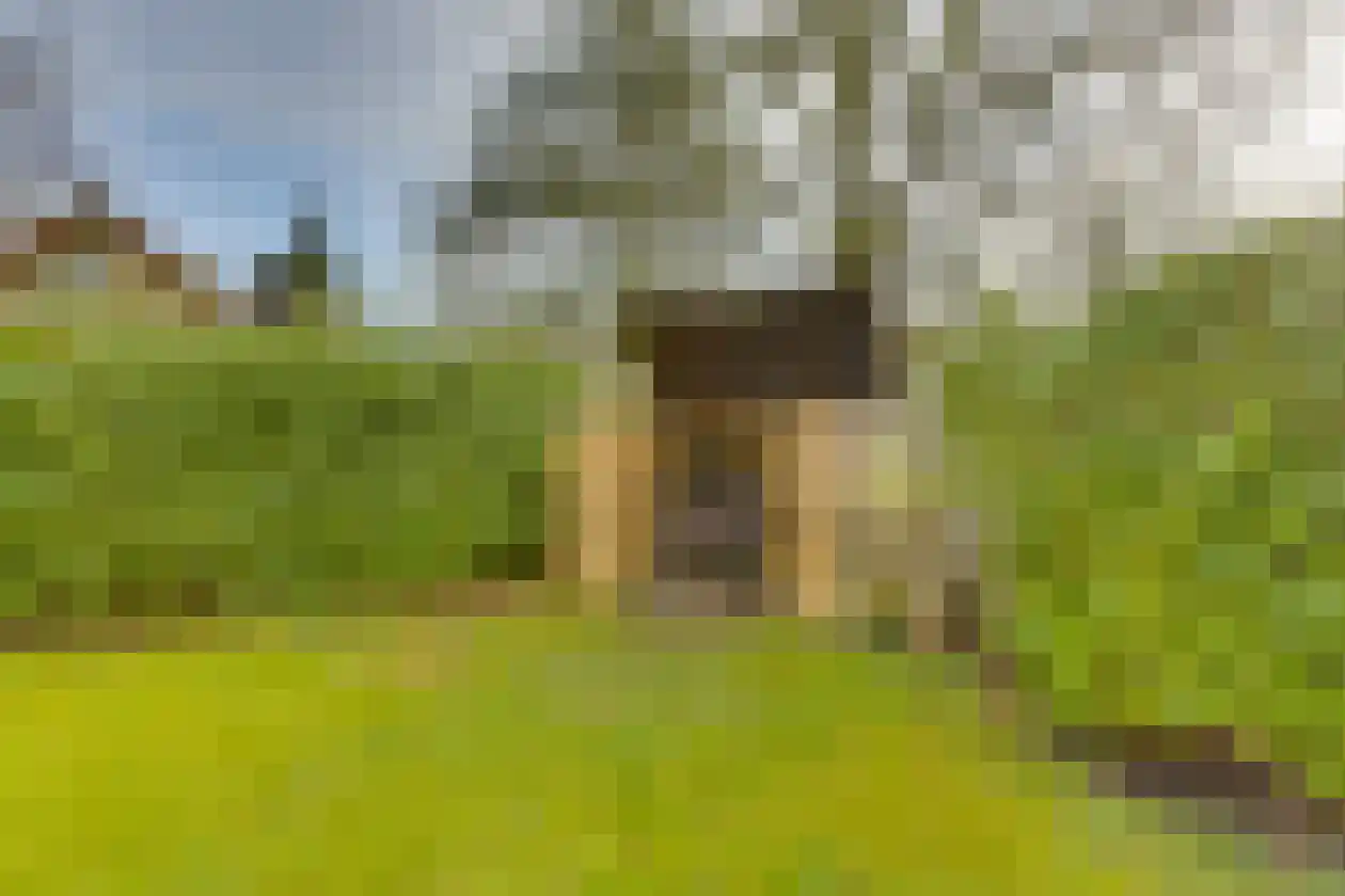 Haersolteweg 17 G 139 Dalfsen thumbnail 27