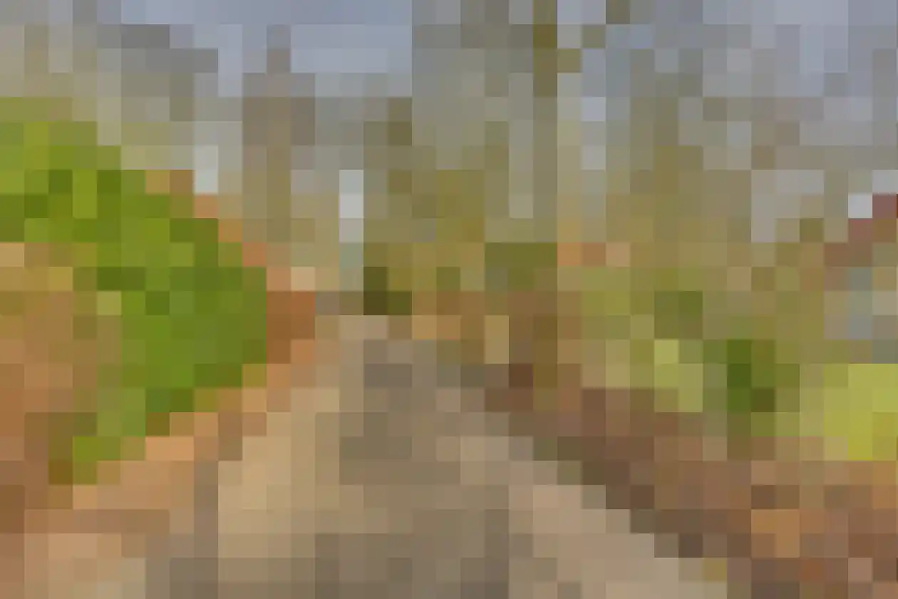 Haersolteweg 17 G 139 Dalfsen thumbnail 28
