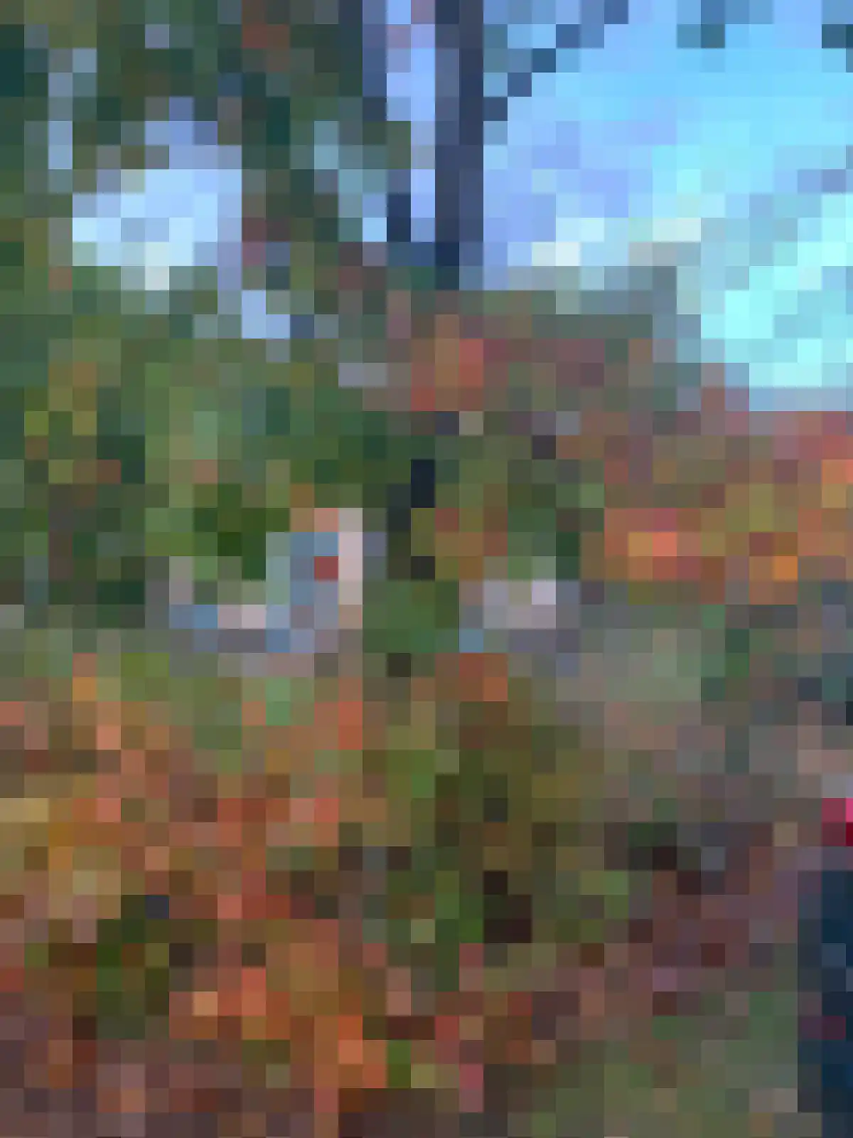 Haersolteweg 17 G 139 Dalfsen thumbnail 31