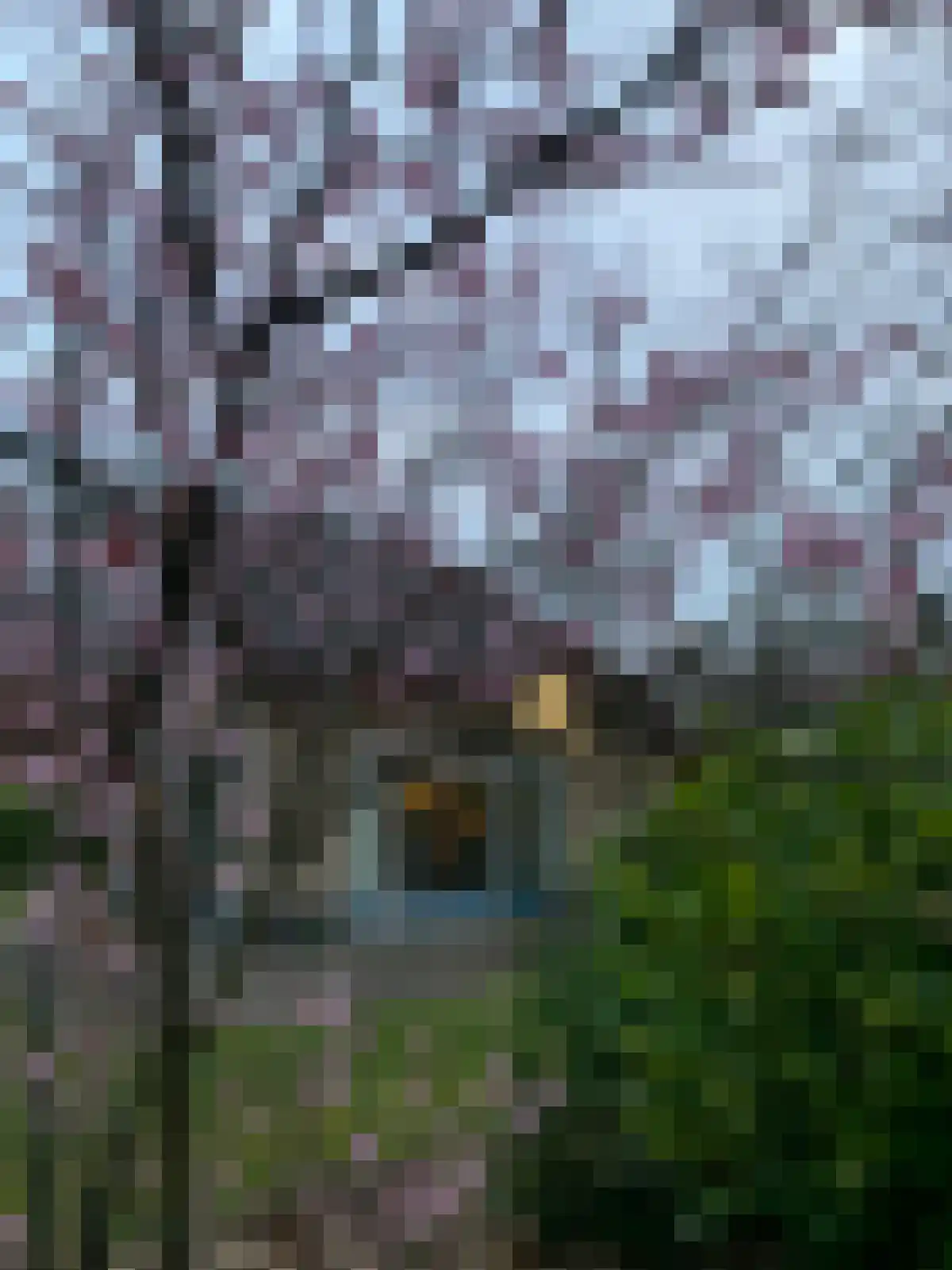 Haersolteweg 17 G 139 Dalfsen thumbnail 33