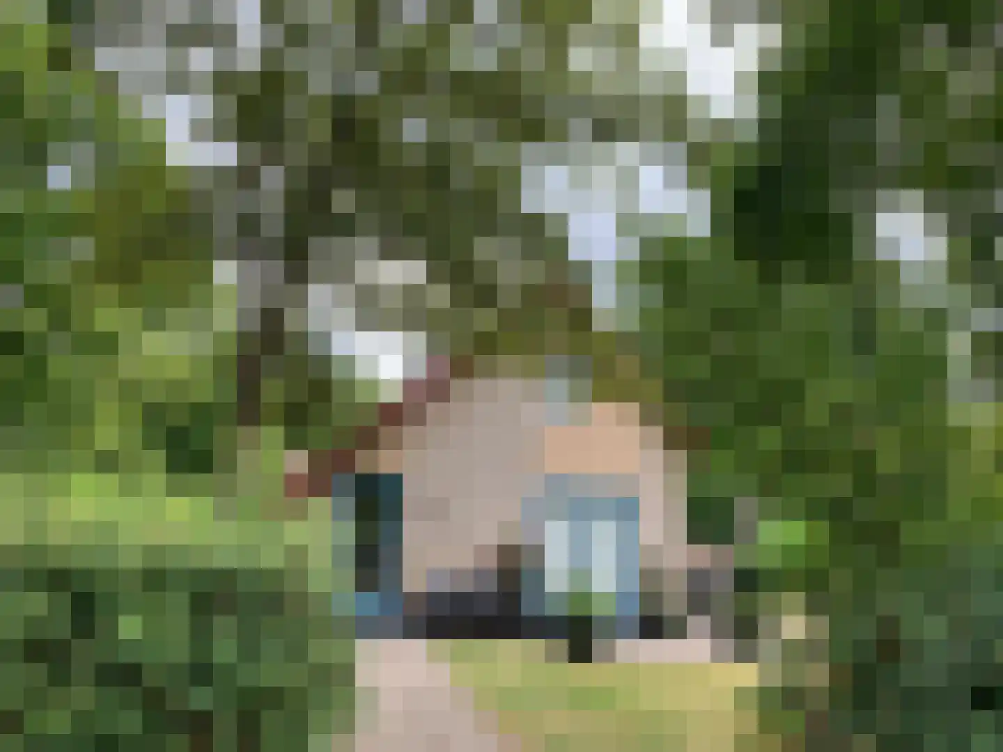 Haersolteweg 17 G 139 Dalfsen thumbnail 36