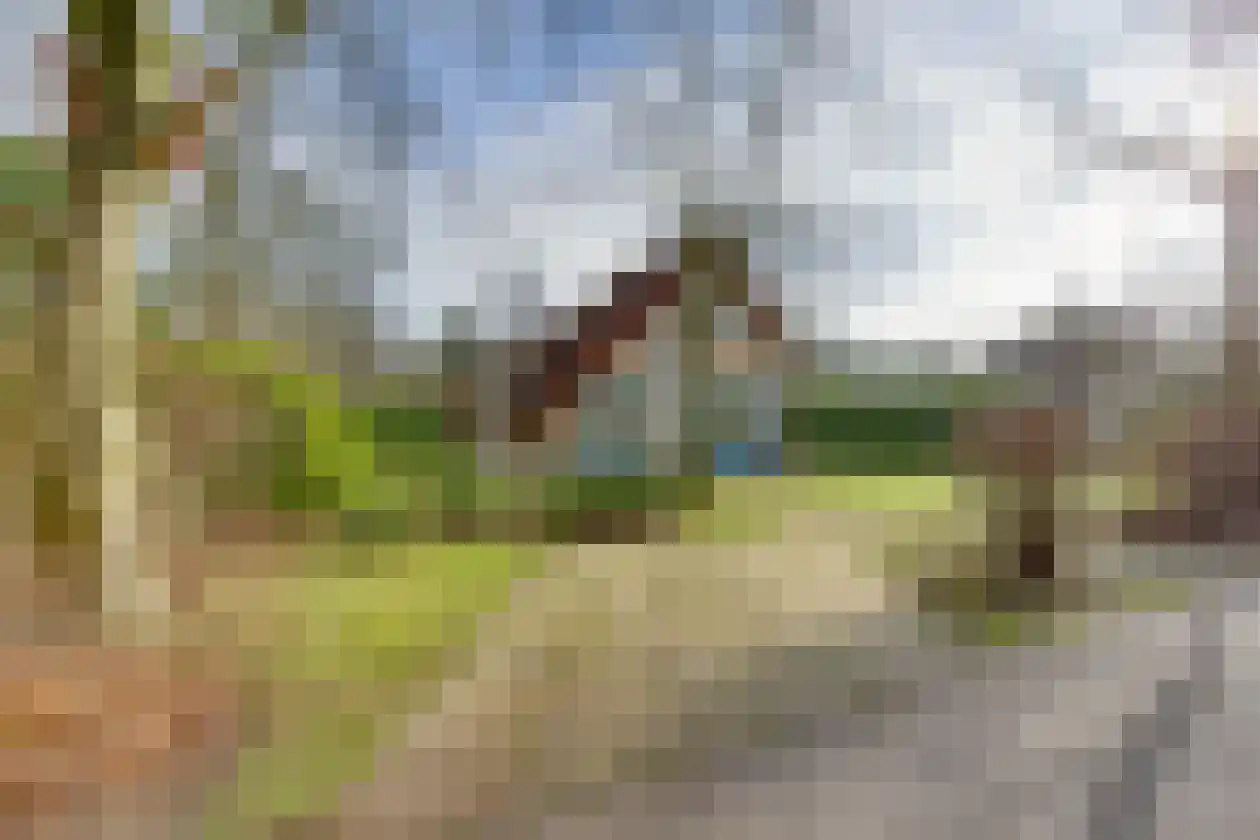 Haersolteweg 17 G 139 Dalfsen thumbnail 6