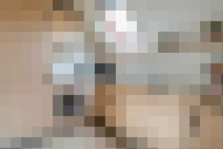 Haersolteweg 17 G 142 Dalfsen thumbnail 16
