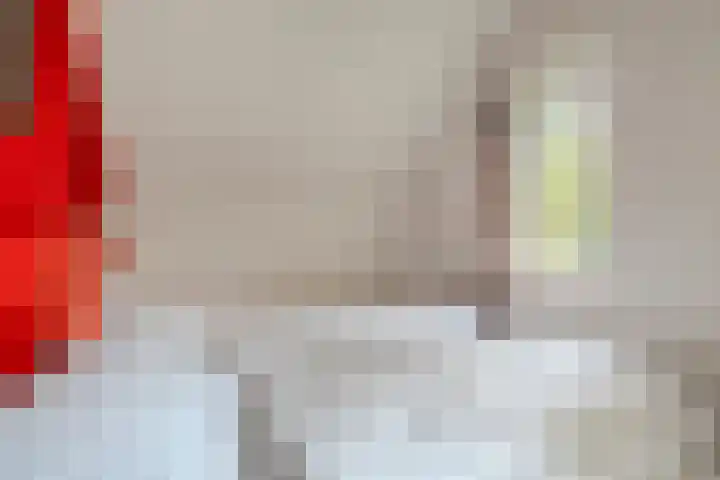 Haersolteweg 17 G 142 Dalfsen thumbnail 19