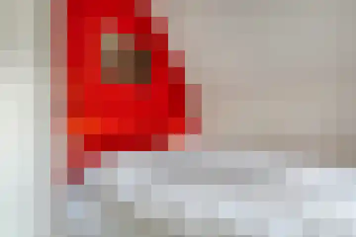 Haersolteweg 17 G 142 Dalfsen thumbnail 20