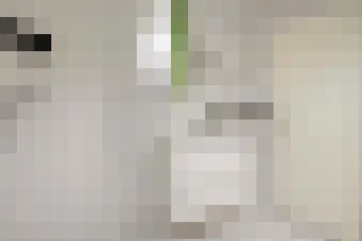 Haersolteweg 17 G 142 Dalfsen thumbnail 21