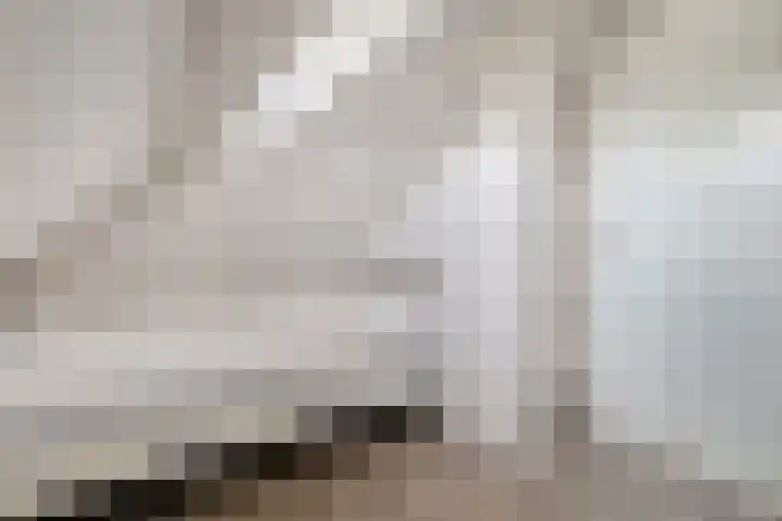 Haersolteweg 17 G 142 Dalfsen thumbnail 27