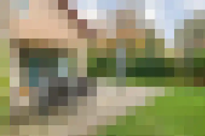 Haersolteweg 17 G 142 Dalfsen thumbnail 30