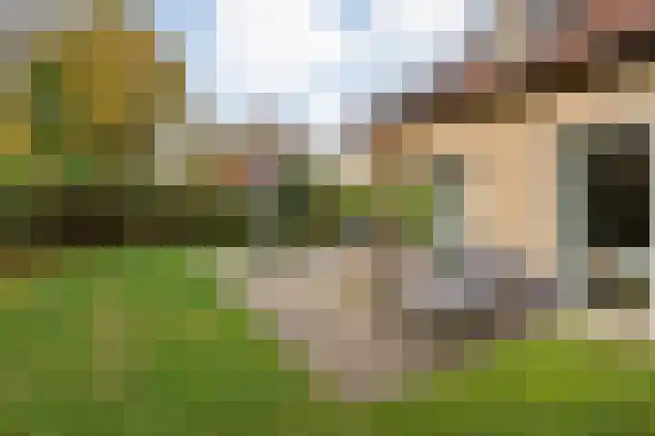 Haersolteweg 17 G 142 Dalfsen thumbnail 31