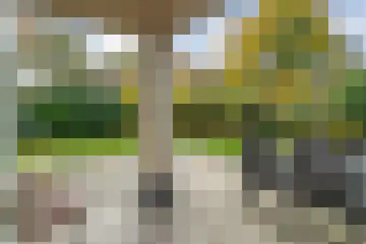 Haersolteweg 17 G 142 Dalfsen thumbnail 33