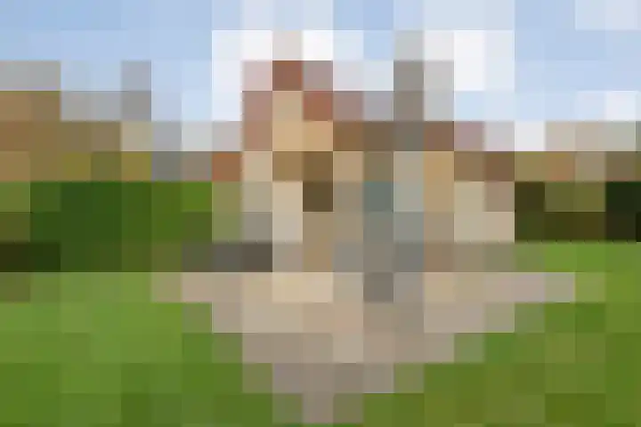 Haersolteweg 17 G 142 Dalfsen thumbnail 37