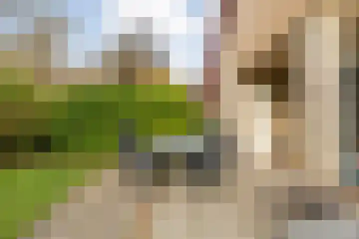 Haersolteweg 17 G 142 Dalfsen thumbnail 38