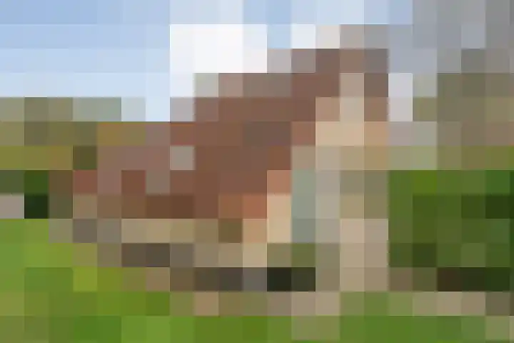 Haersolteweg 17 G 142 Dalfsen thumbnail 4