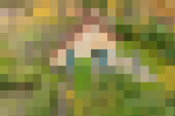 Haersolteweg 17 G 142 Dalfsen thumbnail 40