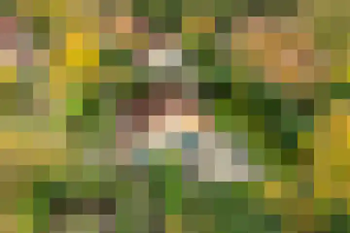 Haersolteweg 17 G 142 Dalfsen thumbnail 41